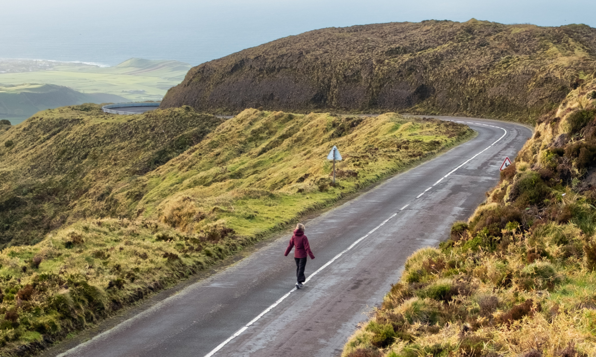 Digital Marketing coach